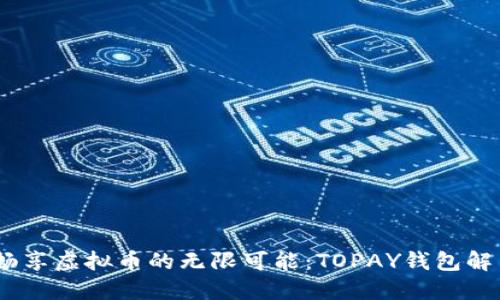 充值游戏，畅享虚拟币的无限可能：TOPAY钱包解决你的烦恼