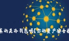 币印钱包：真的是冷钱包吗？你的资产安全挑战