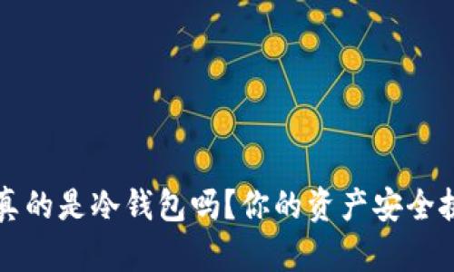 币印钱包：真的是冷钱包吗？你的资产安全挑战在何方？