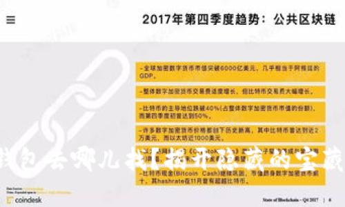 小狐钱包去哪儿找？揭开隐藏的宝藏之谜！