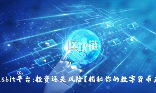 Coinsbit平台：投资还是风险？揭秘你的数字货币未来！