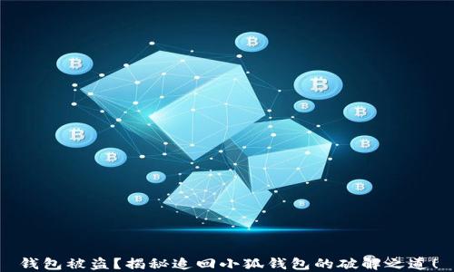 
钱包被盗？揭秘追回小狐钱包的破解之道！