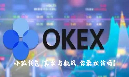 小狐钱包：真相与挑战，你敢相信吗？