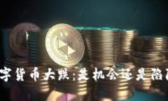 数字货币大跌：是机会还是陷阱？