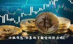 小狐钱包：你真的了解它的潜力吗？