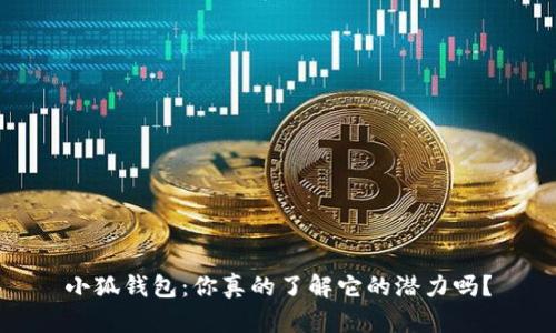 小狐钱包：你真的了解它的潜力吗？