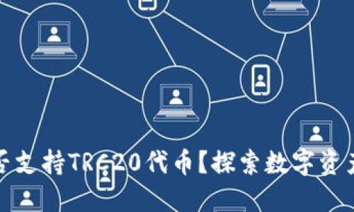 小狐钱包是否支持TRC20代币？探索数字资产管理的秘密
