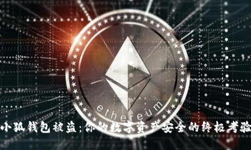 小狐钱包被盗：你的数字资产安全的终极考验