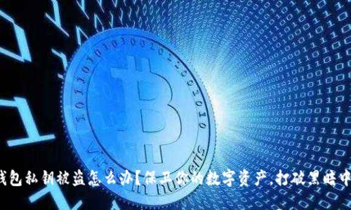 : 小狐钱包私钥被盗怎么办？保卫你的数字资产，打破黑暗中的迷雾！