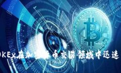 OK币交易所（OKEx）的创始人是徐明星（Star Xu）。