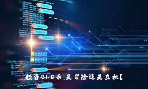投资BHD币：是冒险还是良机？