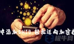 在MetaMask中添加SHIB：轻松迈向加密投资的第一步