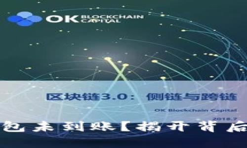 中本聪提币小狐钱包未到账？揭开背后的误解与解决之道