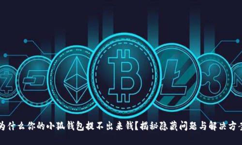 为什么你的小狐钱包提不出来钱？揭秘隐藏问题与解决方案