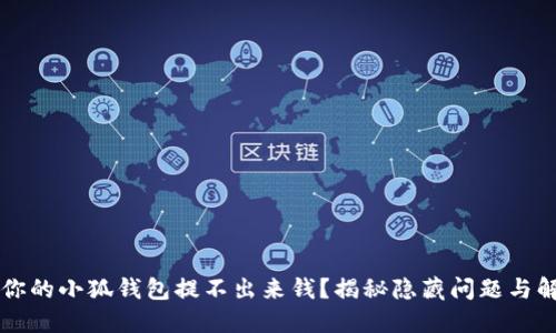 为什么你的小狐钱包提不出来钱？揭秘隐藏问题与解决方案