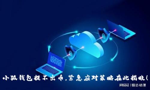 小狐钱包提不出币，紧急应对策略在此揭晓！