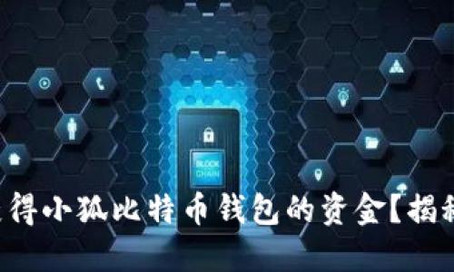如何快速获得小狐比特币钱包的资金？揭秘领取流程！