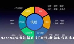 你的MetaMask钱包消失了？别慌，教你如何迅速找回