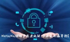 MetaMask同步速度之谜：你是否也在等待？