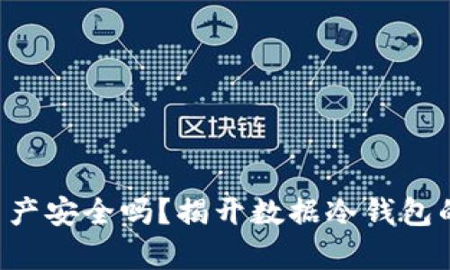 “你的数字资产安全吗？揭开数据冷钱包的真实面纱！”