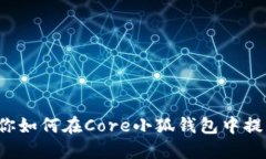 轻松解锁！教你如何在Core小狐钱包中提币，不再