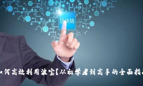 如何高效利用波宝？从初学者到高手的全面指南