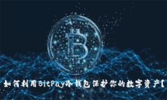 如何利用BitPay冷钱包保护你的数字资产？