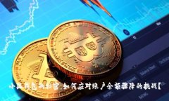 小狐钱包的秘密：如何应对账户余额骤降的挑战