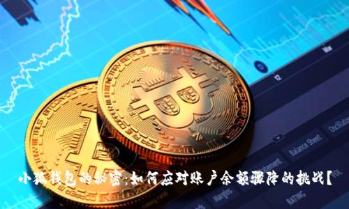 小狐钱包的秘密：如何应对账户余额骤降的挑战？