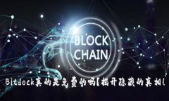 Bitdock真的是免费的吗？揭开隐藏的真相！