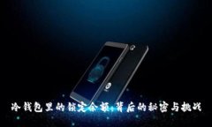 冷钱包里的锁定余额：背后的秘密与挑战