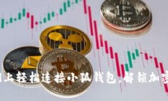 : 如何在iPad上轻松连接小狐钱包，解锁加密货币