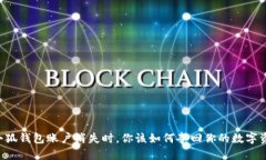当小狐钱包账户消失时，你该如何夺回你的数字