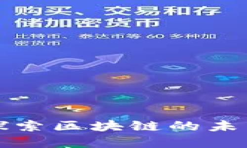 您的数字货币投资指南：探索区块链的未来，抉择与迷失之间的挑战