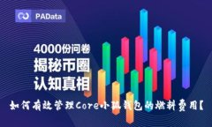 如何有效管理Core小狐钱包的燃料费用？
