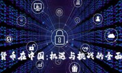 加密货币在中国：机遇与挑战的全面观透