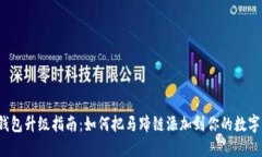 小狐钱包升级指南：如何把马蹄链添加到你的数