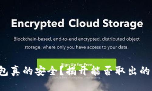 数字冷钱包真的安全？揭开能否取出的神秘面纱！