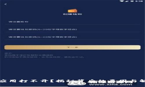 冷钱包应用打不开？揭秘背后的原因与解决方案