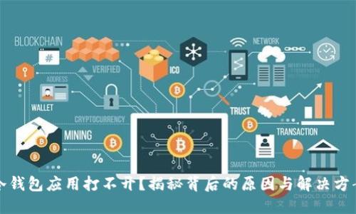 冷钱包应用打不开？揭秘背后的原因与解决方案