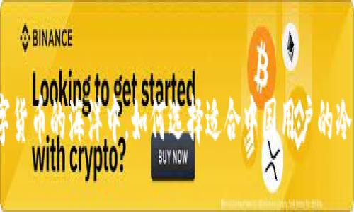 在数字货币的海洋中，如何选择适合中国用户的冷钱包？