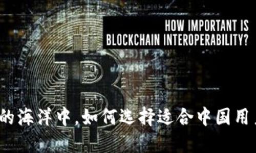 在数字货币的海洋中，如何选择适合中国用户的冷钱包？