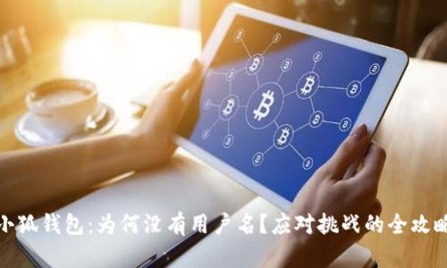 小狐钱包：为何没有用户名？应对挑战的全攻略