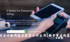 为什么小狐钱包总是显示不出钱？揭开背后的真