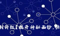 小狐钱包如何顺利升级？揭开神秘面纱，快速解