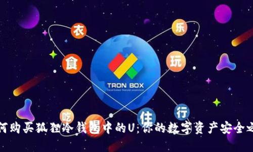 如何购买狐狸冷钱包中的U：你的数字资产安全之路