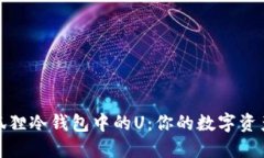 如何购买狐狸冷钱包中的U：你的数字资产安全之