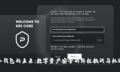 冷钱包的未来：数字资产安全的终极挑战与机遇