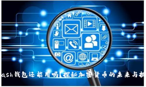 Kcash钱包还能用吗？探秘加密货币的未来与挑战