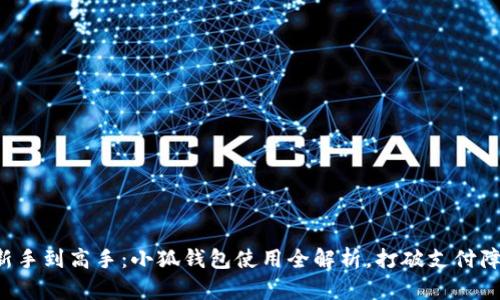 从新手到高手：小狐钱包使用全解析，打破支付障碍！